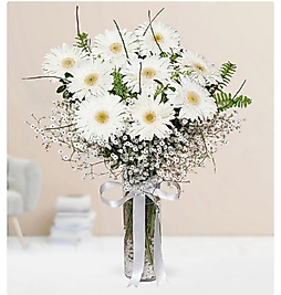 Vazoda Beyaz Gelbera