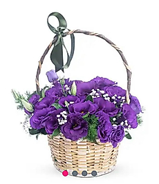 Sepette Mor Lisyantus