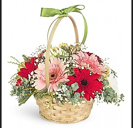 Doğal Sepette Gelbera