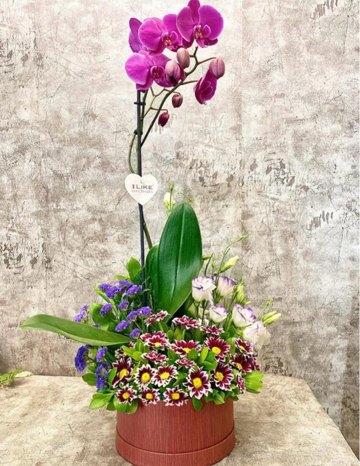 Kutu  Tasarım Orkide