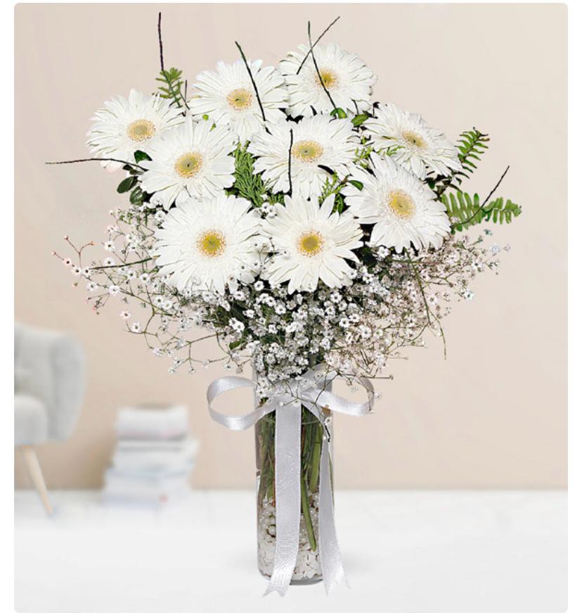 Vazoda Beyaz Gelbera