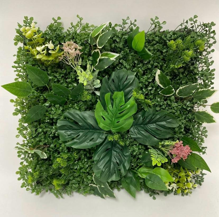 Şimşir & Devetabanı