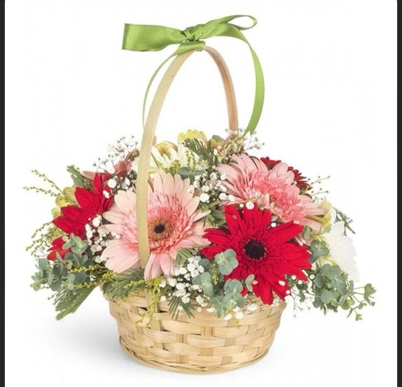 Doğal Sepette Gelbera